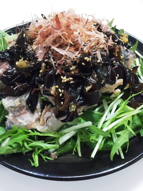 鯖缶と水菜とキクラゲの健康サラサラだ♪