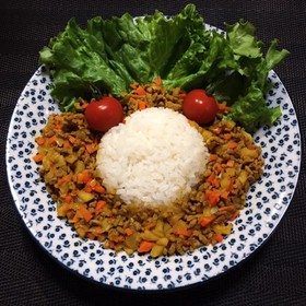 ヘルシーなドライカレー