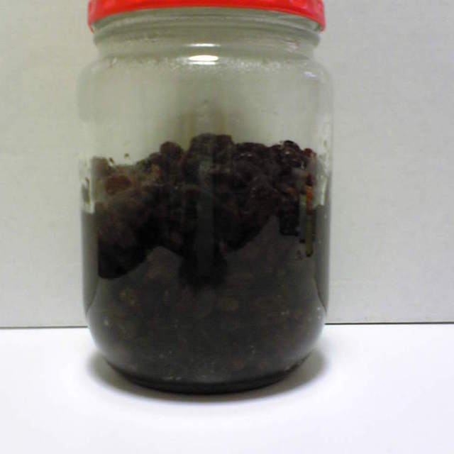 超簡単 超安い ラムレーズン レシピ 作り方 By くいしんぼかぁさん クックパッド 簡単おいしいみんなのレシピが354万品