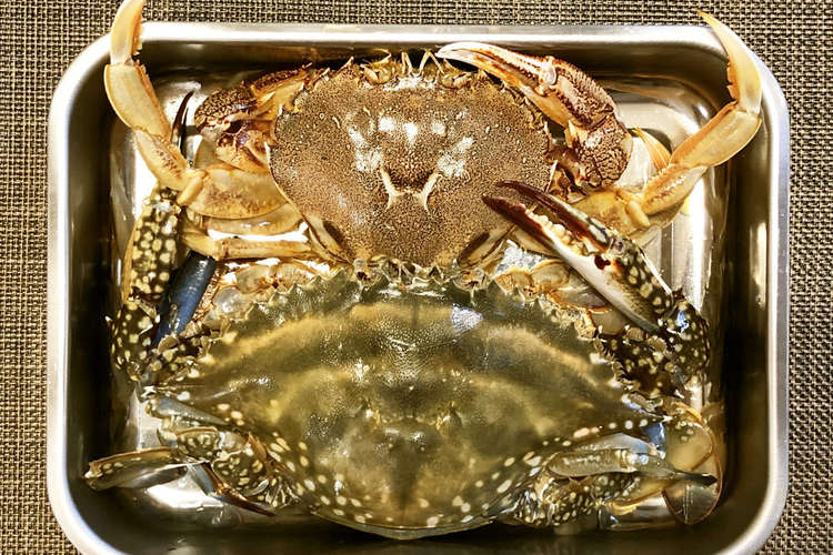 蒸し蟹 マルガニとワタリガニ レシピ 作り方 By クックgonbao クックパッド 簡単おいしいみんなのレシピが361万品