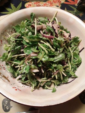 豆苗とひじきのサラダ