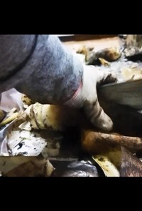 超簡単筍の皮の剥き方