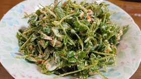 豆苗とツナトビッコサラダ