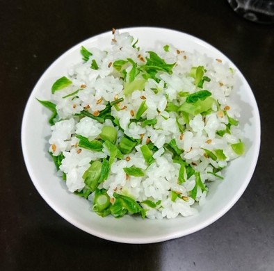 白木の芽（コシアブラ）混ぜご飯の写真