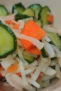 三色野菜の辛子醤油サラダ