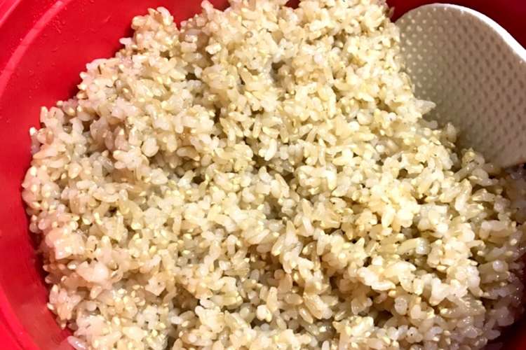 玄米 金のいぶき の電子レンジ圧力鍋炊飯 レシピ 作り方 By Yumano06 クックパッド 簡単おいしいみんなのレシピが364万品