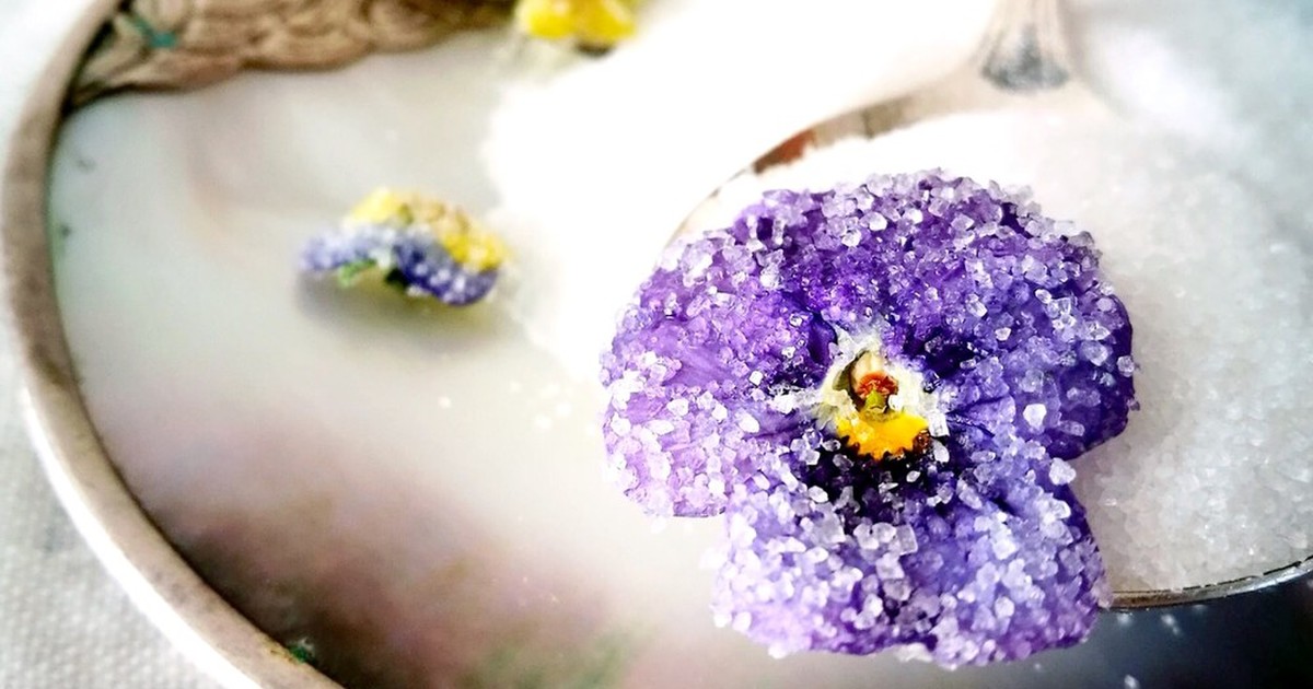 すみれの花の砂糖漬け レシピ 作り方 By Sophia Kam クックパッド 簡単おいしいみんなのレシピが378万品