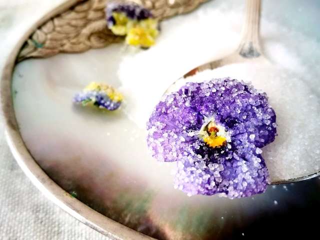 すべての美しい花の画像 新着花 砂糖漬け