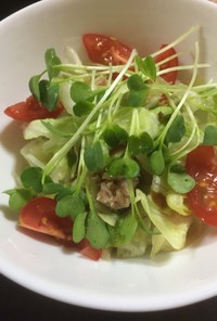 レタス・塩昆布・シーチキン・貝割のサラダ