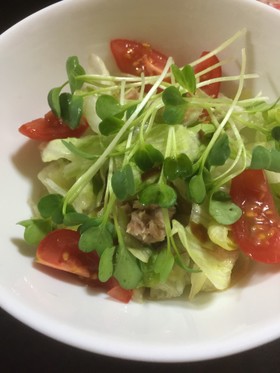 レタス・塩昆布・シーチキン・貝割のサラダ