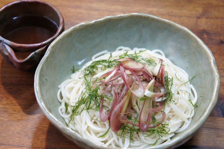 サバ缶で鯖味噌そうめん レシピ 作り方 By おでのおでん クックパッド 簡単おいしいみんなのレシピが366万品
