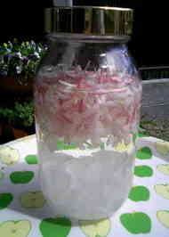 みんなが作ってる キンモクセイ 酒のレシピ クックパッド 簡単おいしいみんなのレシピが357万品