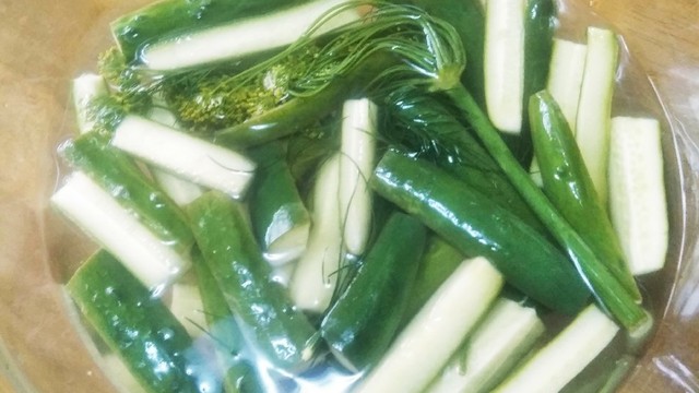 お料理一年生の簡単 きゅうりのピクルス レシピ 作り方 By 大浦仁歌 クックパッド