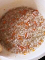 離乳食9ヶ月のための鶏五目粥(5倍粥)の写真