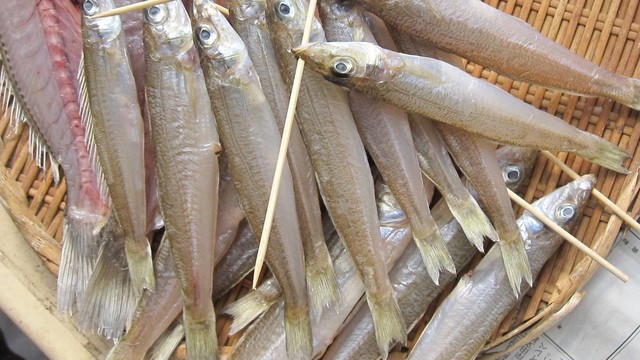 キスの干物 レシピ 作り方 By クック8t5w2d クックパッド 簡単おいしいみんなのレシピが350万品