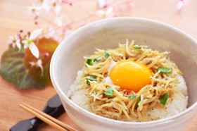 青ねぎ入りしらす丼