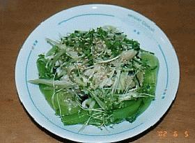 蒸し鶏のヘルシーサラダ