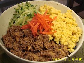 超節約★満足決定版!『三色丼♪』