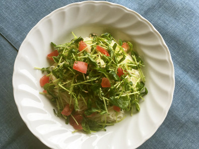 夏を乗り切る！栄養いっぱい豆苗サラダ素麺の写真