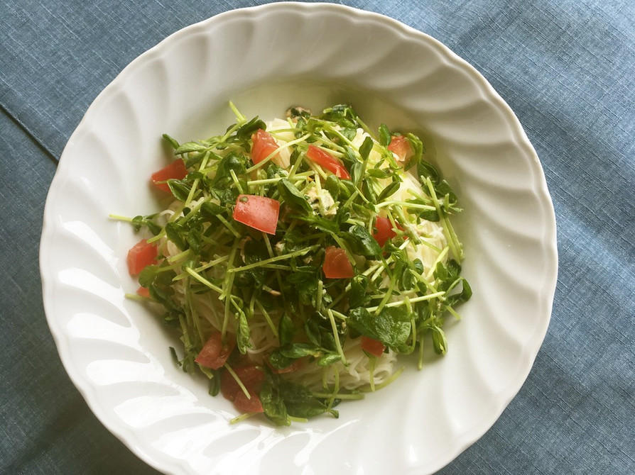 夏を乗り切る！栄養いっぱい豆苗サラダ素麺の画像