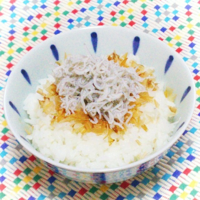 ネット正規店 しらすご飯様 ひざ丈ワンピース