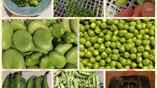 そら豆 えんどう豆のおやつ レシピ 作り方 By Aki3684 クックパッド 簡単おいしいみんなのレシピが359万品