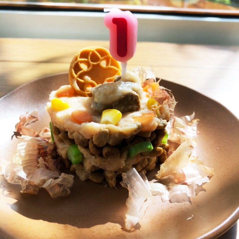 みんなが作ってる】 猫用 ケーキのレシピ 【クックパッド】 簡単 