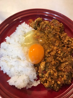 キーマカレー(玉ねぎ、トマト、鳥、牛肉)
