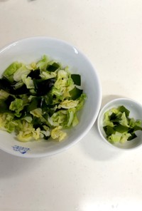 【幼児食】取分けOK 簡単キャベツサラダ