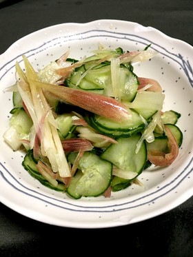 梅酢の胡瓜と茗荷の和え物
