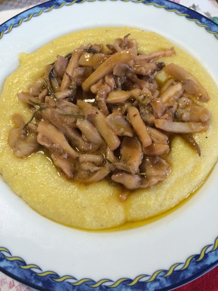 イタリア風イカの煮物の画像