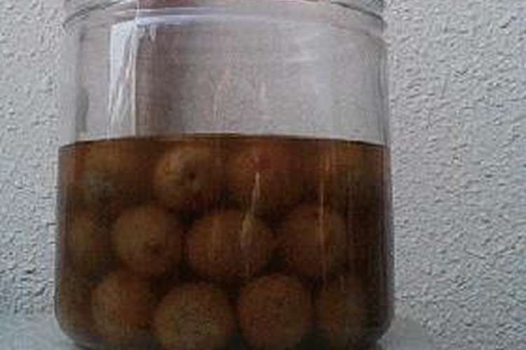 子供も大好き梅の蜂蜜漬け レシピ 作り方 By りえった クックパッド 簡単おいしいみんなのレシピが358万品