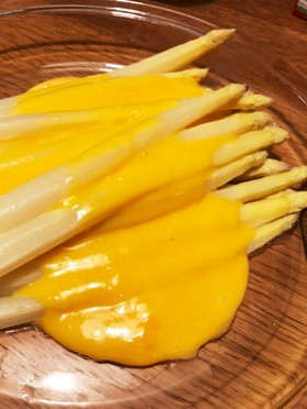 シュパーゲルの基本