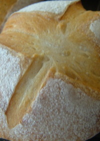無農薬バナナの皮の元ダネ作りの初パン