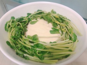 つわり中♡さっぱり豆苗レンジ湯豆腐