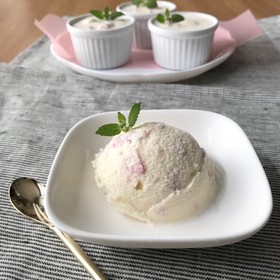 卵不使用、生クリームでアイスクリーム