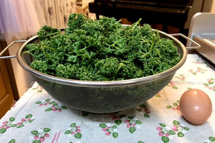 パセリ 大量 レシピ 作り方 By 抹茶みるくラテ クックパッド 簡単おいしいみんなのレシピが352万品