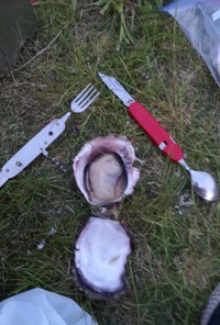 キャンプでバーナー焼き牡蠣
