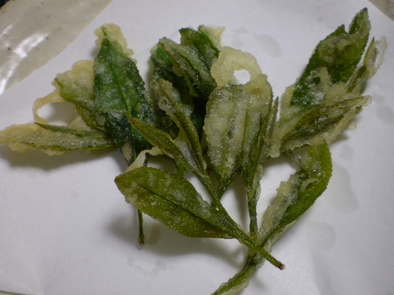 お茶の生葉の天婦羅の写真