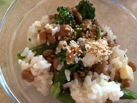 納豆とブロッコリーのマヨご飯