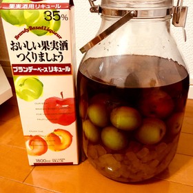 甘口でまろやか♡ブランデー梅酒