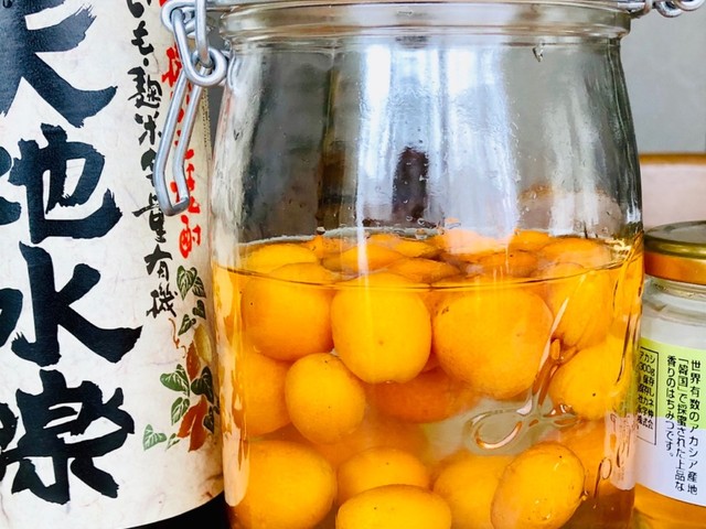 有機芋焼酎で健康金柑酒 レシピ 作り方 By かえねえ クックパッド 簡単おいしいみんなのレシピが354万品 有機芋焼酎で健康金柑酒 レシピ 作り方 By かえねえ クックパッド 簡単おいしいみんなのレシピが354万品