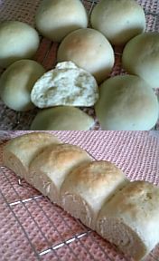 レンジ＆ＦＰで簡単豆腐入りお食事パンの画像