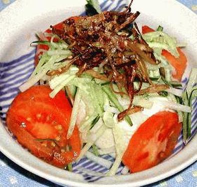 カリカリ豆腐サラダの写真