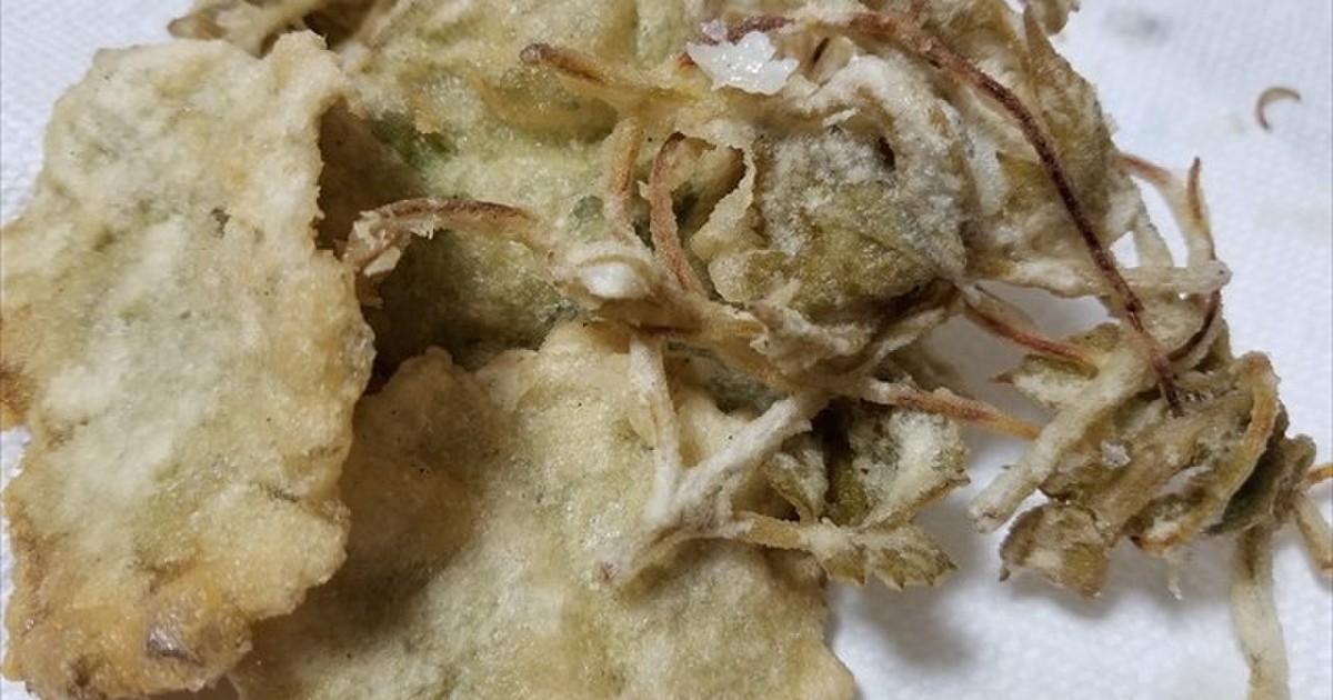 エビヅルの新芽とユキノシタの天ぷら レシピ 作り方 By 福井のおじじ クックパッド 簡単おいしいみんなのレシピが356万品