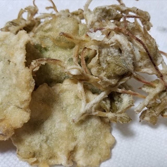 エビヅルの新芽とユキノシタの天ぷら レシピ 作り方 By 福井のおじじ クックパッド 簡単おいしいみんなのレシピが357万品