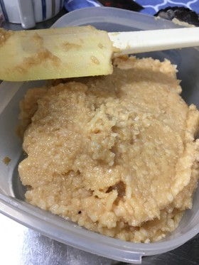 白味噌 ヨーグルトメーカーで手作り