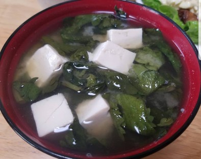 春菊と豆腐のお味噌汁の写真