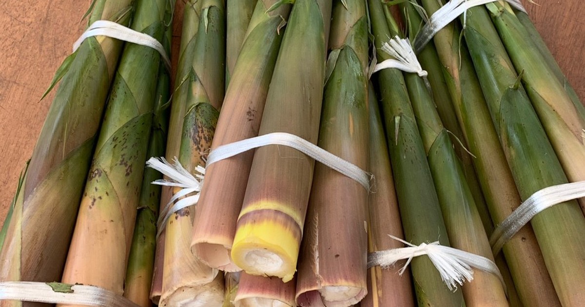 大名竹の長期保存方法♪ by チョコたま 【クックパッド】 簡単おいしいみんなのレシピが321万品