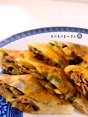豚肉と野菜たっぷり、しっかり味の春巻き